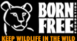 BornFree