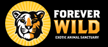 Forever Wild