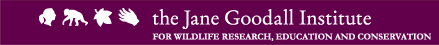 The Jane Goodall Institute