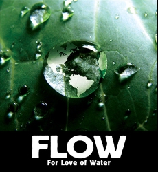 FLOW